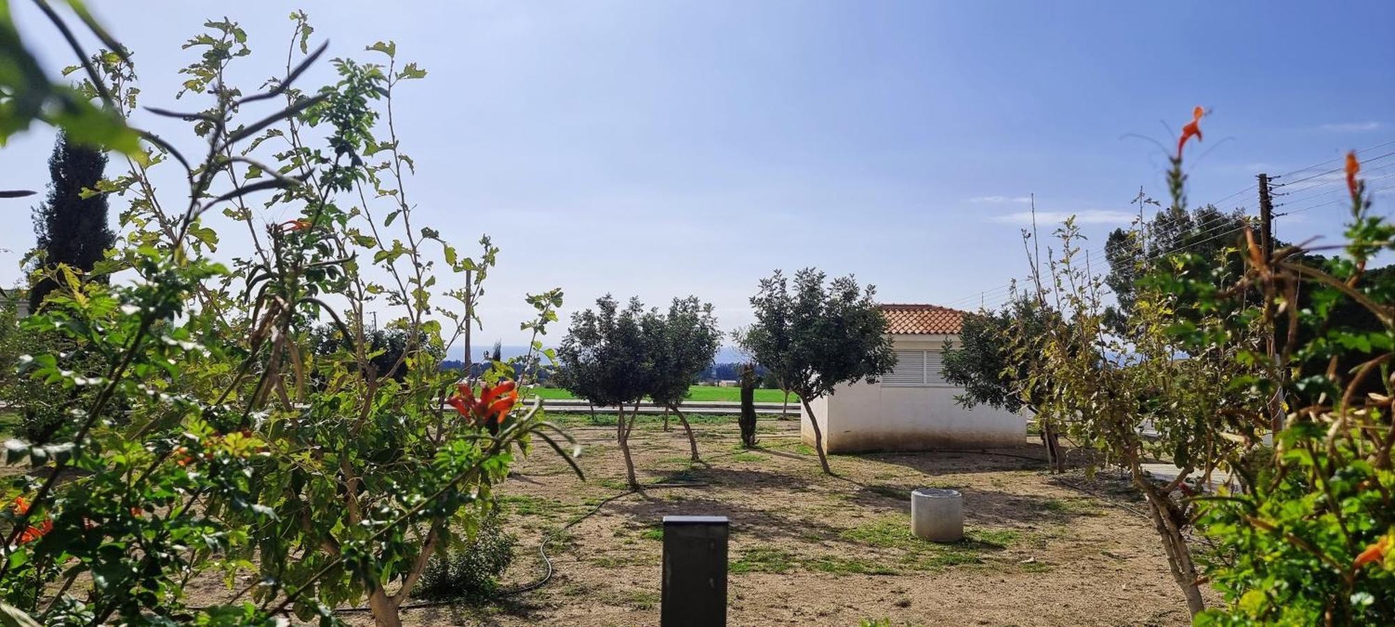 Shanti Paphos Villa المظهر الخارجي الصورة